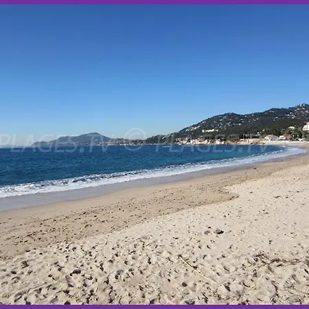 Apartamento Port Duplex Plein Sud 200 M2 Et 100 M2 De Terrasse *