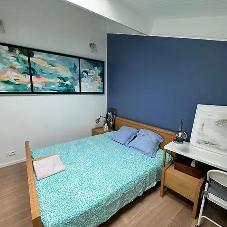 Апартаменти Port Duplex Plein Sud 200 M2 Et 100 M2 De Terrasse Єр