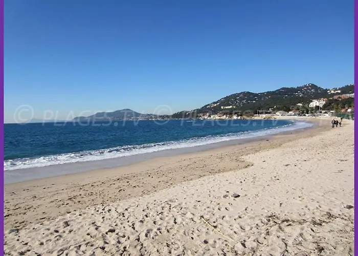 Apartment Port Duplex Plein Sud 200 M2 Et 100 M2 De Terrasse *