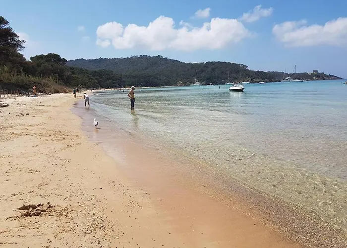 Apartment Port Duplex Plein Sud 200 M2 Et 100 M2 De Terrasse Hyeres