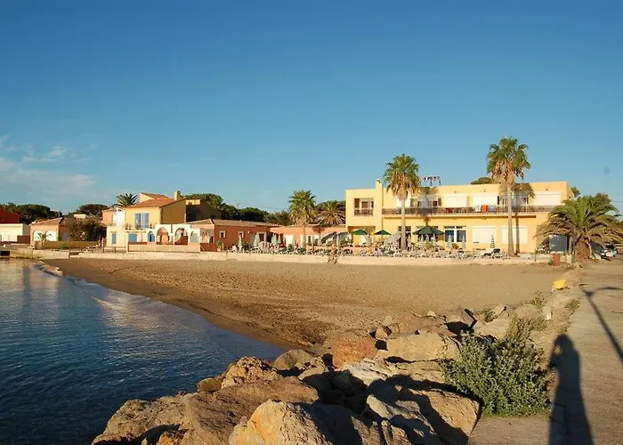 Port Duplex Plein Sud 200 M2 Et 100 M2 De Terrasse Hyeres