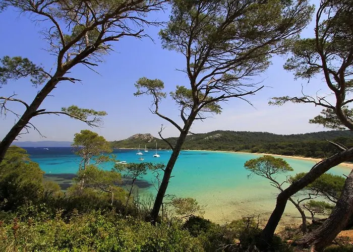 Port Duplex Plein Sud 200 M2 Et 100 M2 De Terrasse * Hyeres