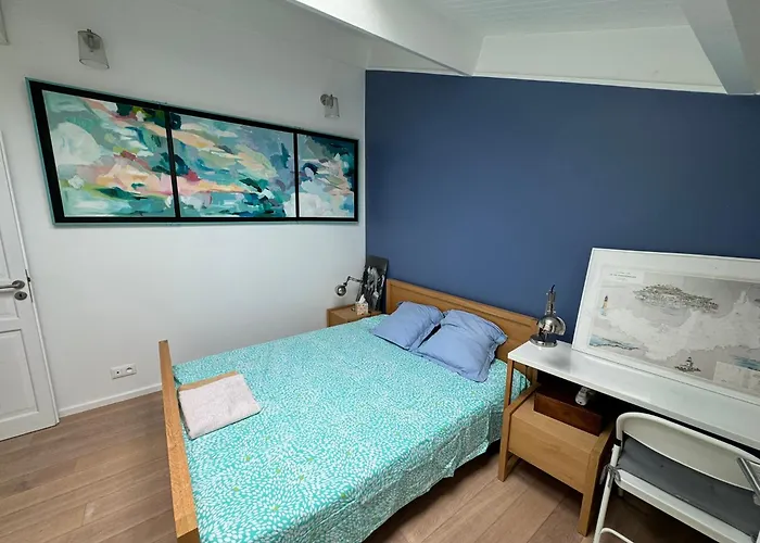 Apartment Port Duplex Plein Sud 200 M2 Et 100 M2 De Terrasse Hyeres